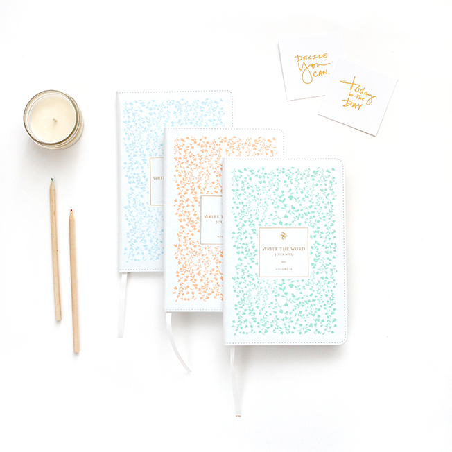Write The Word Bible Journal Lara Casey Shop