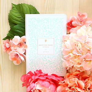 Write The Word Bible Journal Lara Casey Shop
